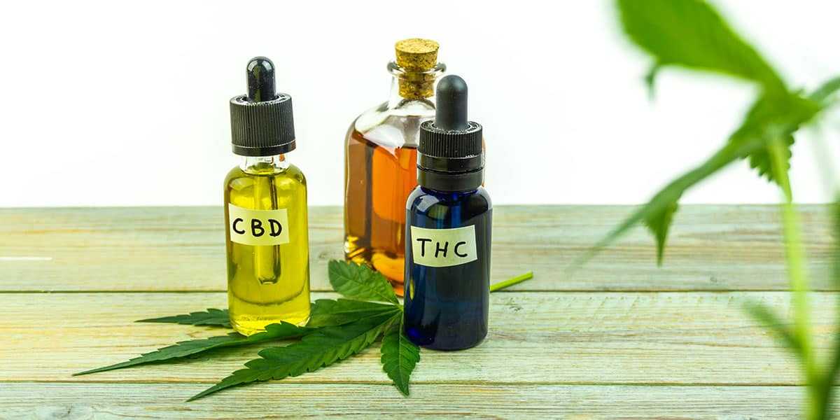Exploring the Compounds of Cannabis - THC and CBD Unveiled