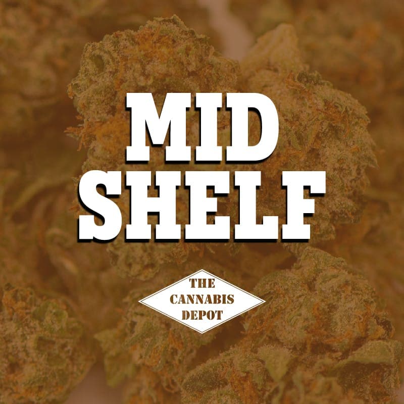 The Herbal Garden  | Mid Shelf Flower | (S) Dutchess