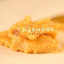 HARMONY LB | (H) | Cinnamint