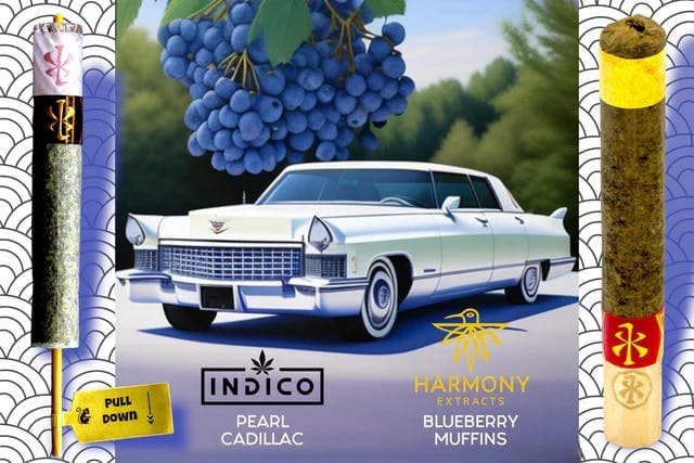 Indico | Reserve Shelf Flower | Pearl Cadillac