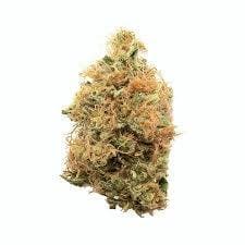 Natty Rems | Reserve Shelf Flower | Golden Goat