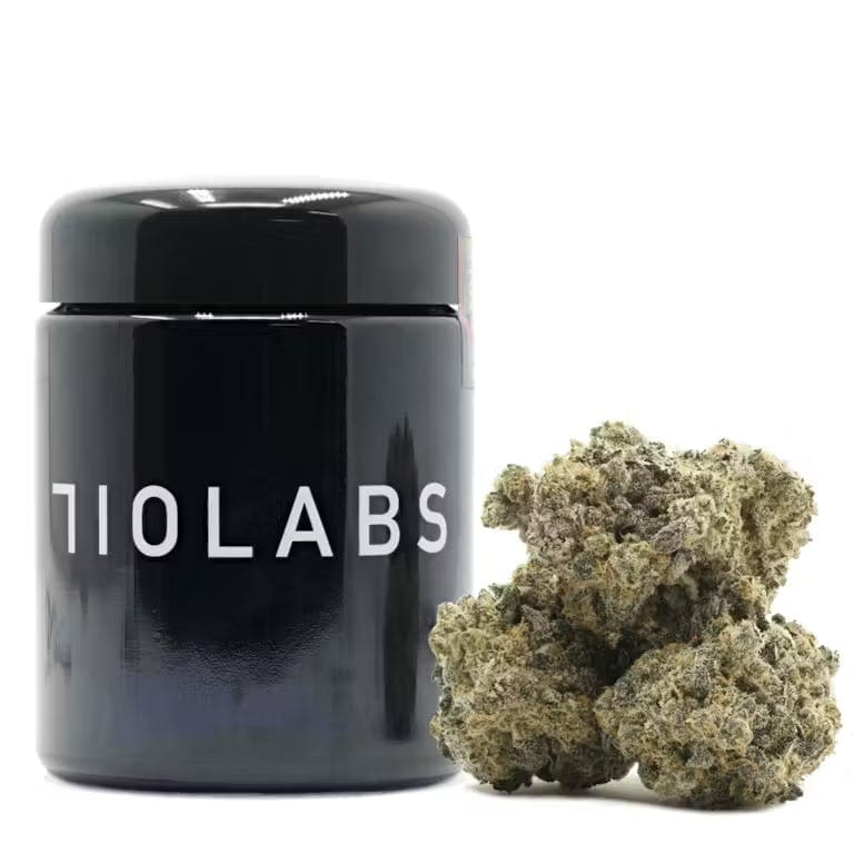 710labs | Flower | Jackson Heightz