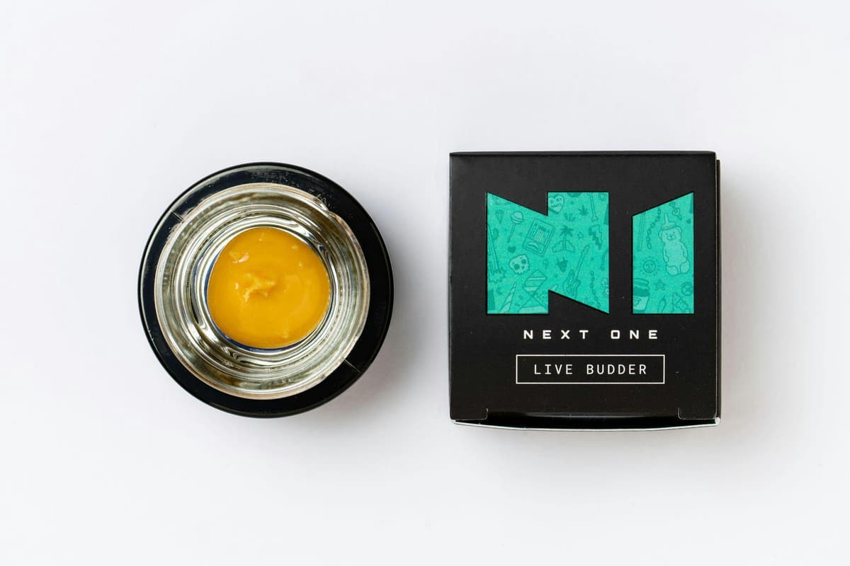Next1 | Live Sugar | Cap Junky