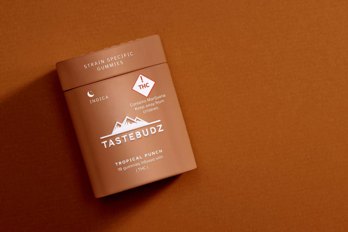 TASTEBUDZ | Tropical Punch (I)