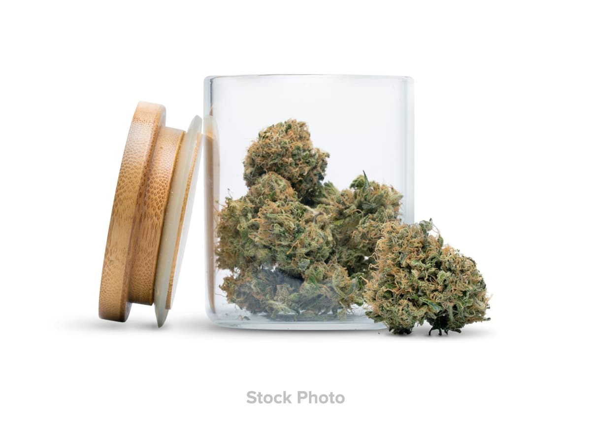 PG | Kush Mintz