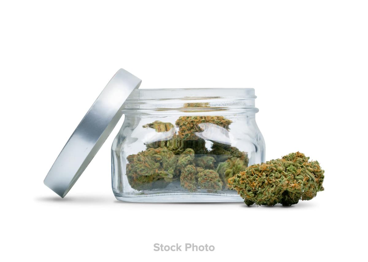 NATTY REMS | FLOWER | RUNTZ