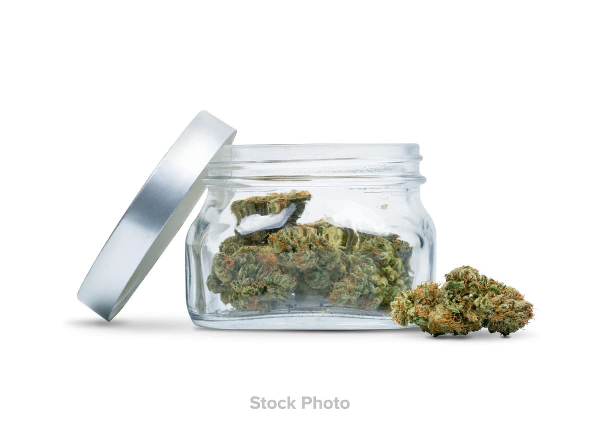 Green Dot Lemon Grinder