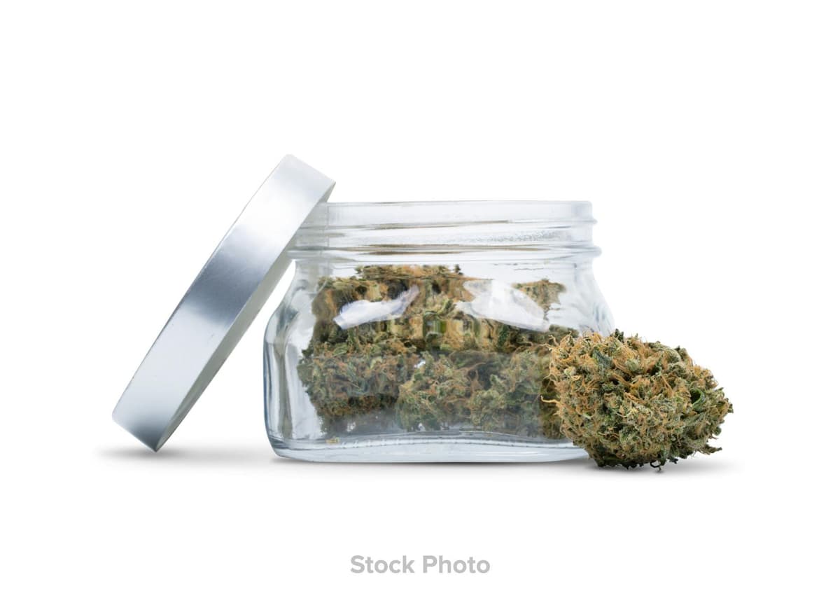Natty Rems | Premier Shelf Flower | OG Kush