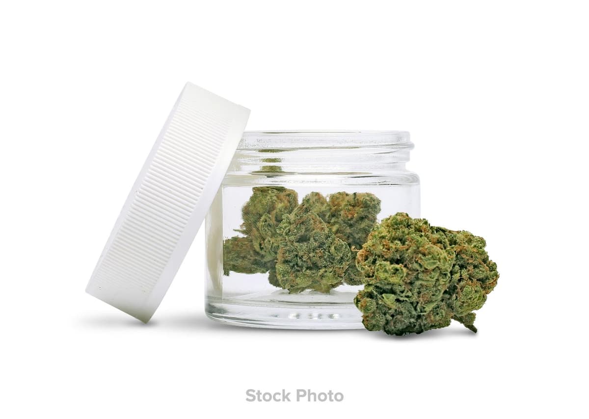 Natty Rems | Premier Shelf Flower | Marshmallow OG