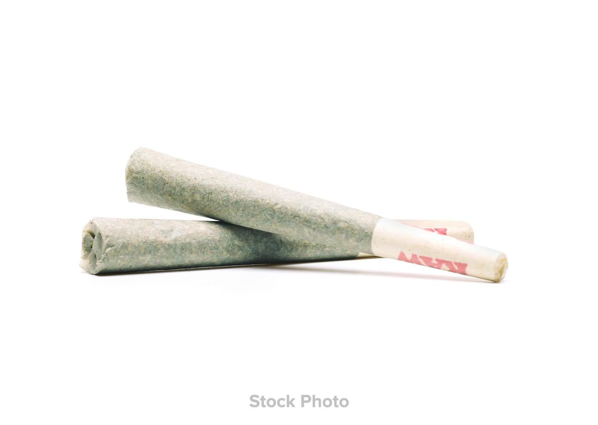 Blackbird | Infused Preroll x 2 Pack - Hybrid