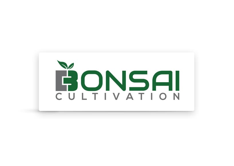 Bonsai Cultivation
