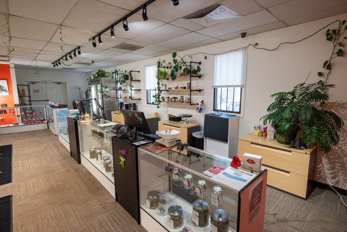 Hundreds of downtown Colorado Springs cannabis products—flower, vapes, edibles, and concentrates.