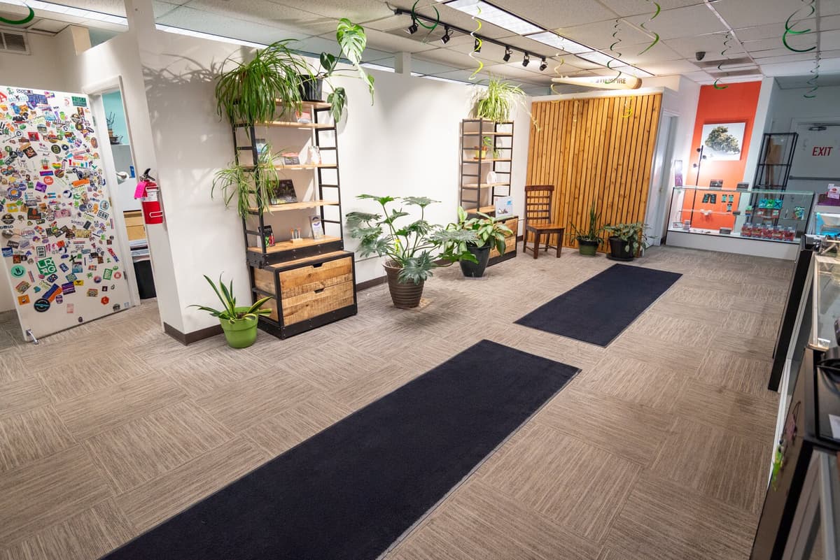 The Cannabis Depot — Tejon Street dispensary in downtown Colorado Springs.